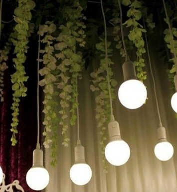 Hanging Bulb Plain