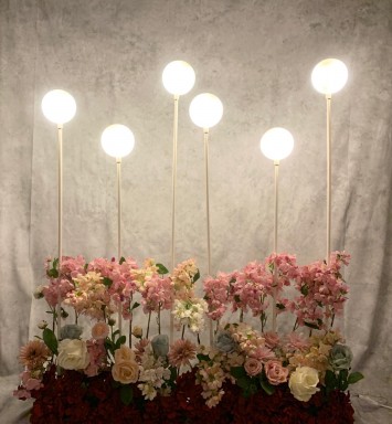 LED Plastic Ball